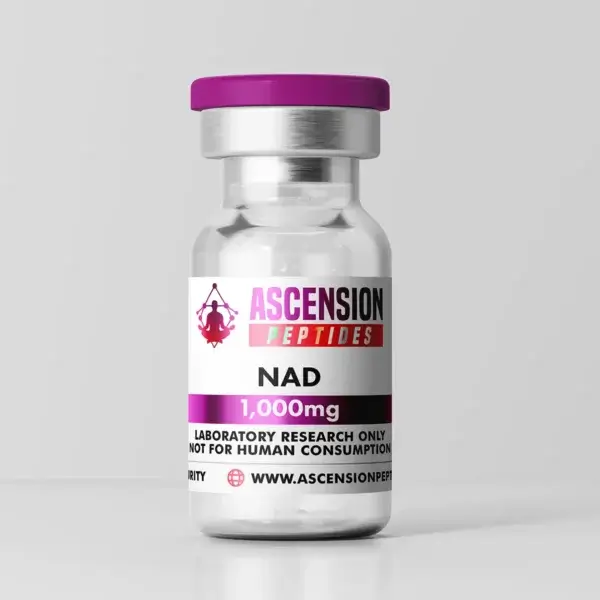 NAD+ vs NMN: Which Actually Works Better for Anti-Aging?