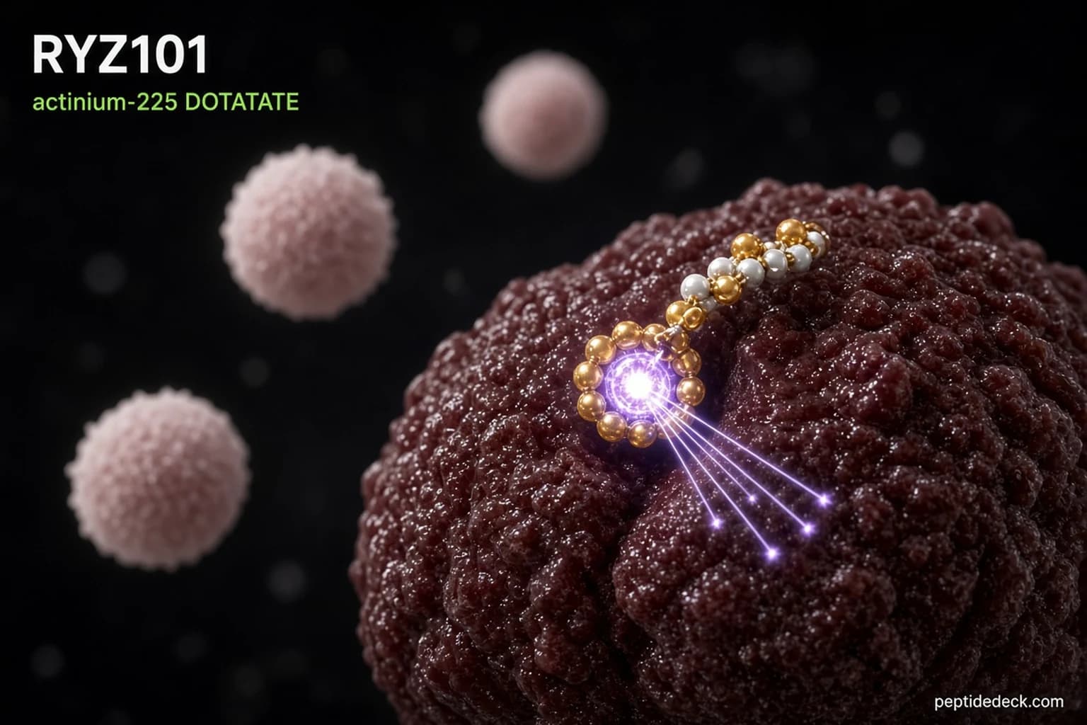 RYZ101: The Radioactive Cancer-Killing Peptide and Its Phase 3 Win (2026)